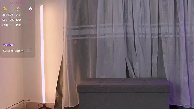 VicenteFerrer Webcam show