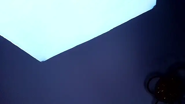 PerryKitty's Live XXX Chat