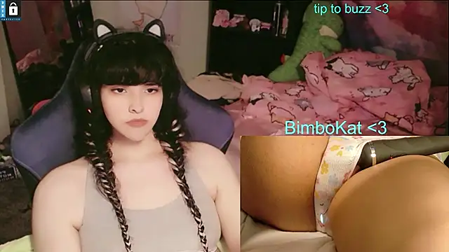 BimboCat 即時 XXX 聊天