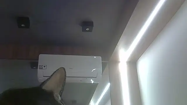 Show de webcam de SkinnyKitten