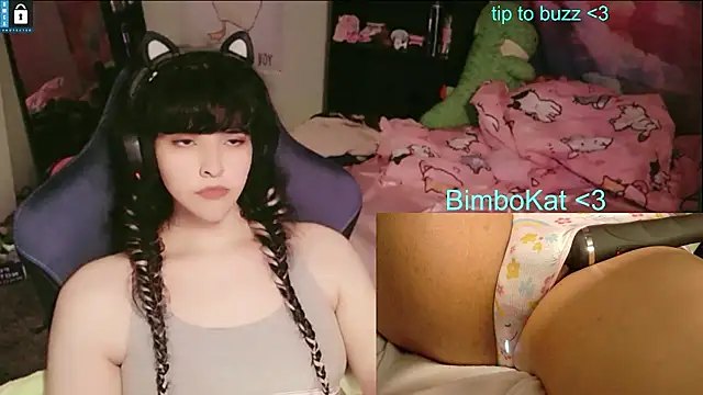 BimboCat webkamerás műsora