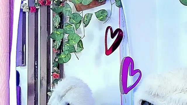 MeowMota_'s Live XXX Chat