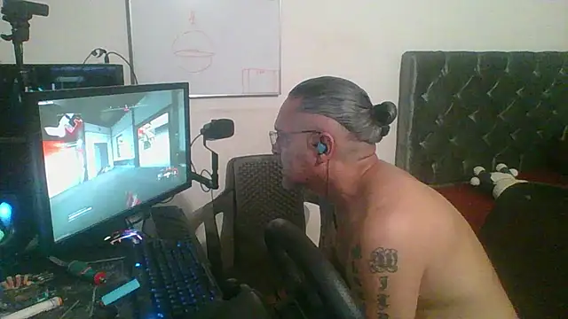316wp Show in webcam