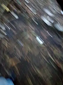 FeloBad élő XXX-chatje