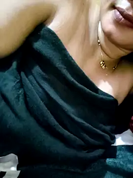 PARI51n Webbikameraesitys
