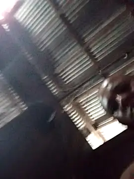 69pa Chat XXX live