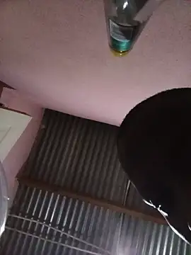 Sexxoophone 现场XXX聊天