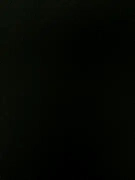 Show webcam de Rex1035