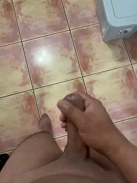 Pertunjukan Kamera Web Carr97