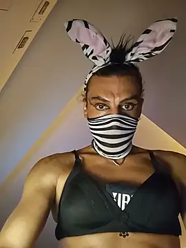 sbronzo1983 Webcam-Show