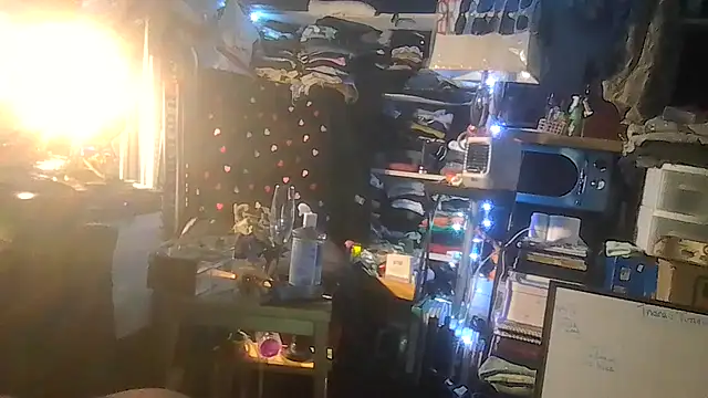 ShysluutGia Live XXX-chat