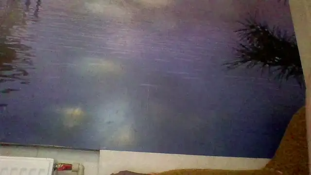 AliceTailor live XXX chat