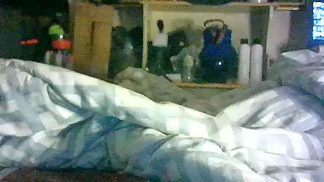Show webcam de CR3M3_FIR3