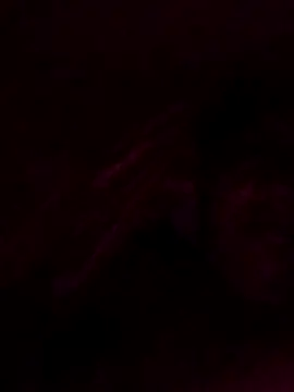 Rs253213 Show in webcam