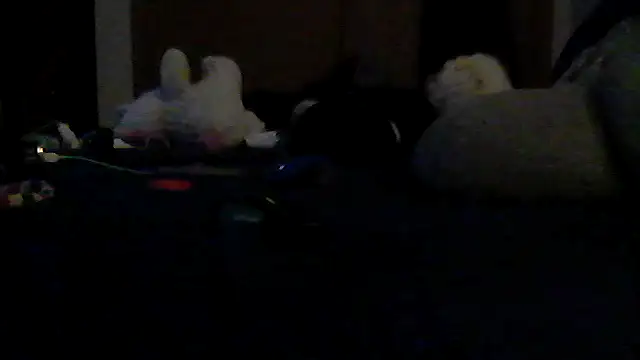 Silencio26's Live XXX Chat