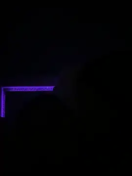 Feloh95's Webcam Show