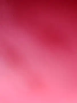 Sxxmann 웹캠 쇼