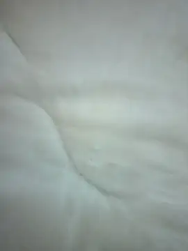looking_for_partners webcam show