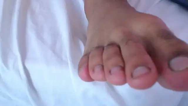 Adam_Foxxxn Live XXX chat