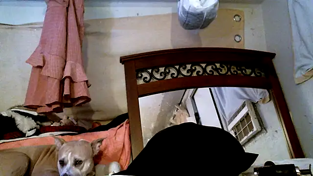 XXX chat uživo modela SexyB214