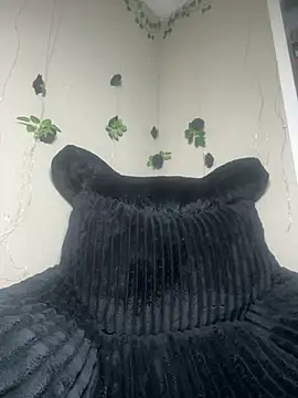 Shuggabutt Live XXX Chat