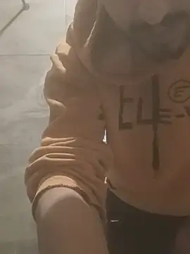 Em3033 网络视讯表演