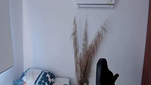 Chat +18 de Pier_Simons ao vivo
