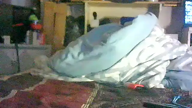 CR3M3_FIR3 Pertunjukan Webcam
