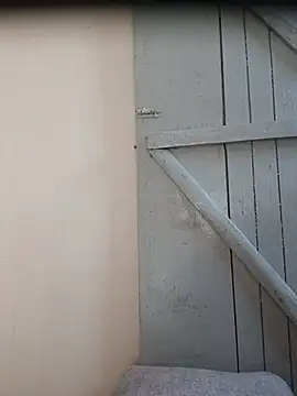 chalie_roy Chat XXX live