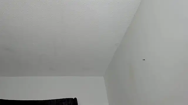 Chat +18 de MiaKhal_ ao vivo
