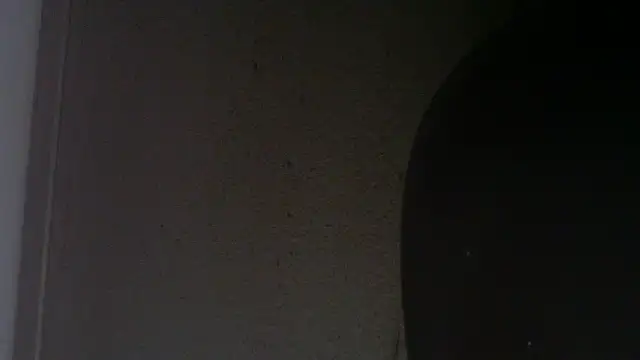 alealae Webcam show