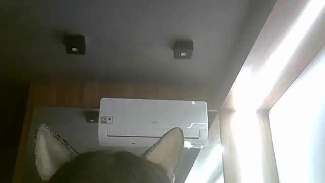 SkinnyKitten Webcam Show