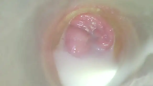 Sembang XXX Secara Langsung karol_stom
