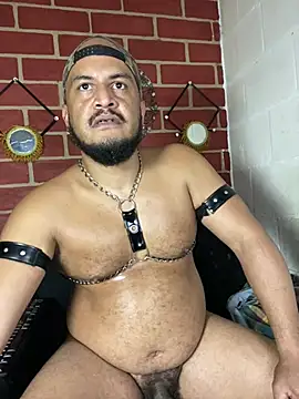 Chatroom XXX en direct de the_master_foal_