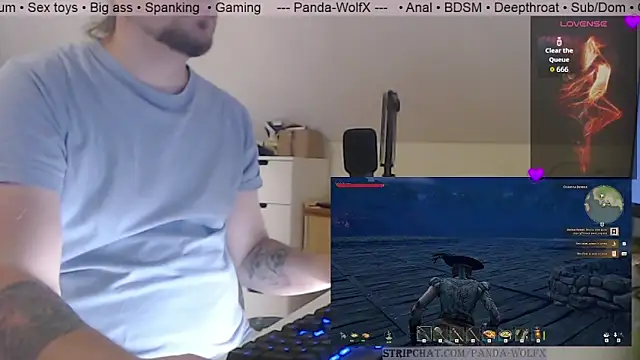 צ'אט XXX בשידור חי של Panda-WolfX