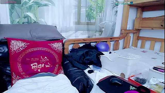 amysasa 라이브 XXX 채팅