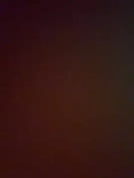 Show webcam de maevanass3