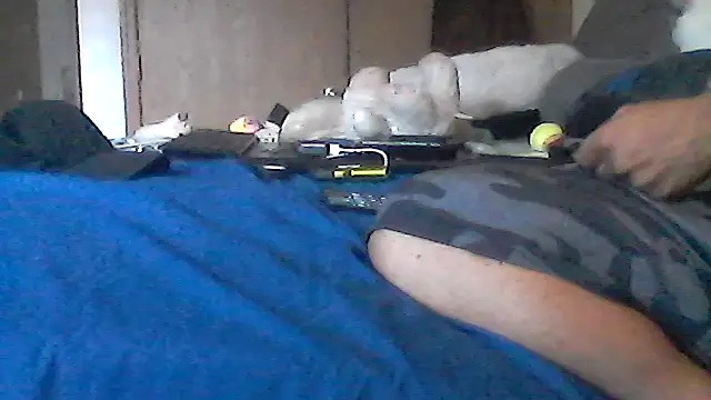 Silencio26's Webcam Show