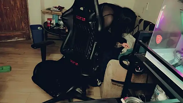 evelyntvsexy 现场XXX聊天