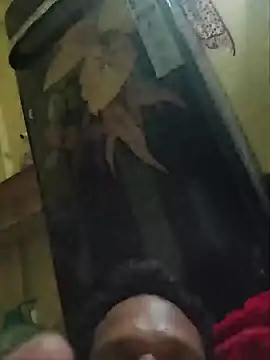 Ravilocalvizge Pertunjukan Webcam