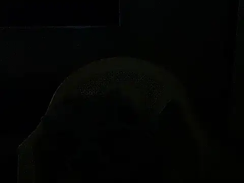 sunnylovexp 现场XXX聊天