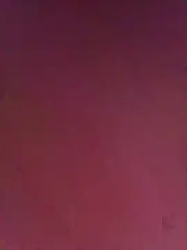 delagueto1n Webbikameraesitys