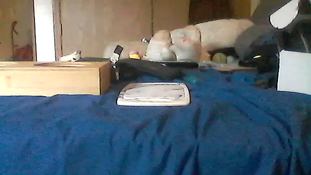 Chat XXX en directo de Silencio26