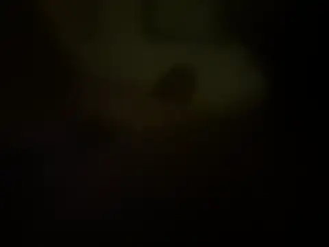 highTnow Show Webcam