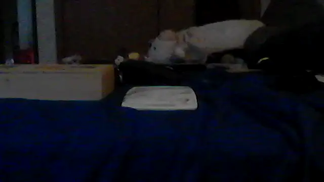 Chat XXX Live Silencio26