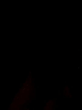 RaspuT002 webcam show