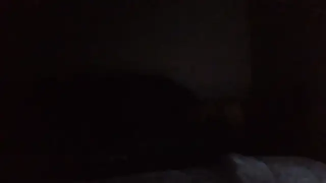 SHARPSkinhead webcam show