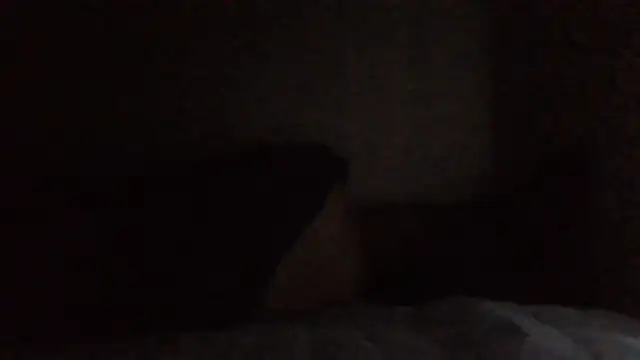 SHARPSkinheadn Webbikameraesitys
