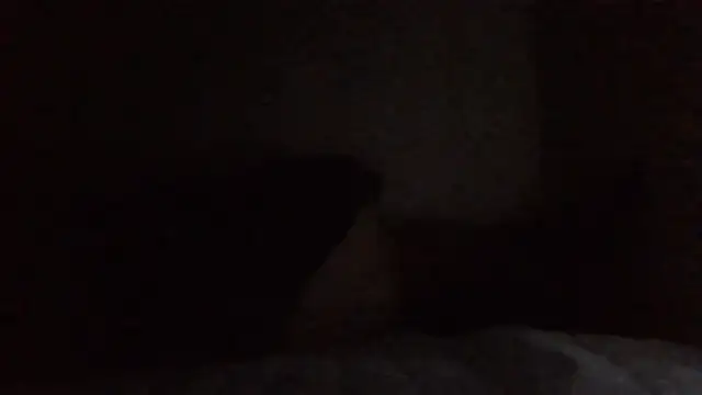 SHARPSkinheadn Webbikameraesitys