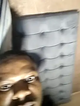 dawgg56 Live XXX-Chat